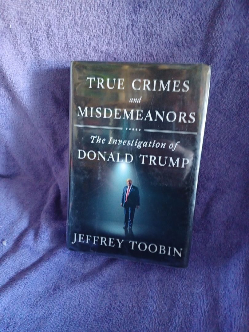 True Crimes and Misdemeanors