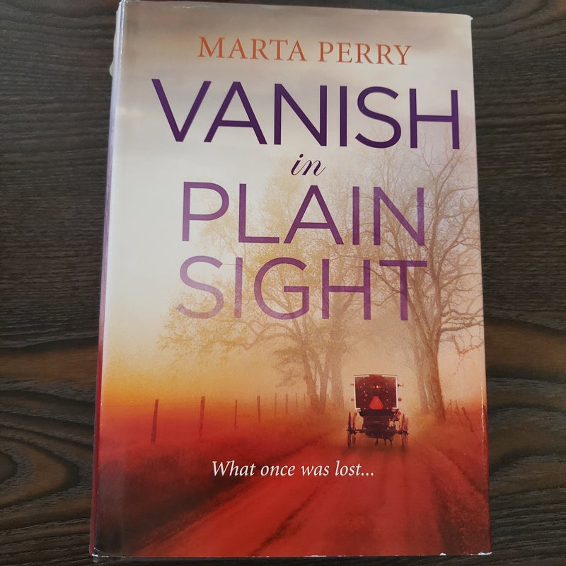 Vanish in Plain Sight- LARGE PRINT