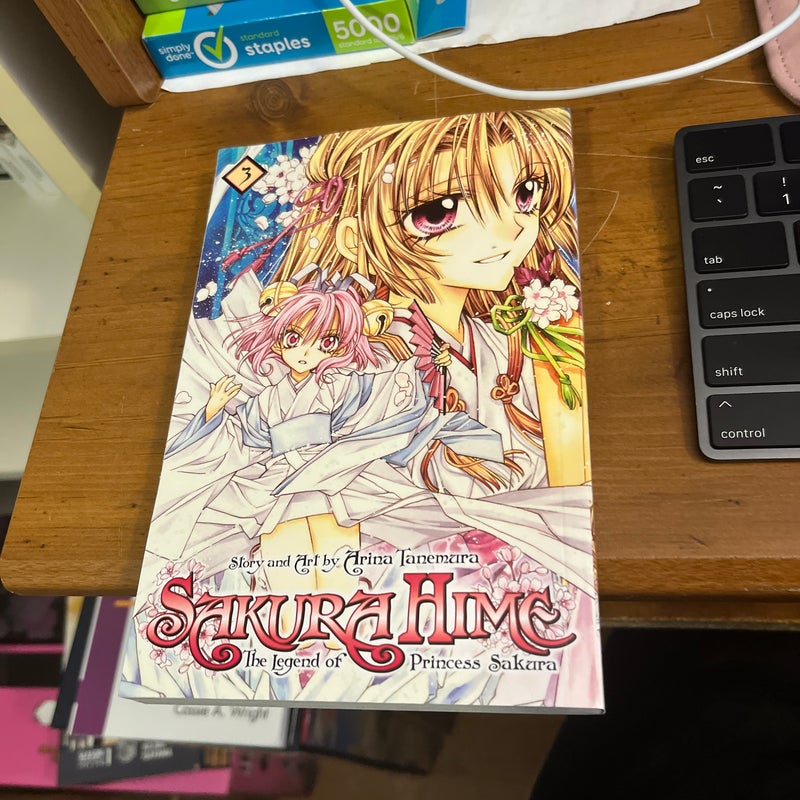 Sakura Hime: the Legend of Princess Sakura, Vol. 3