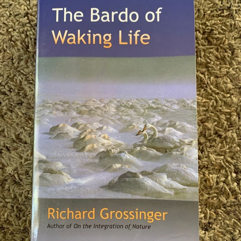 The Bardo of Waking Life