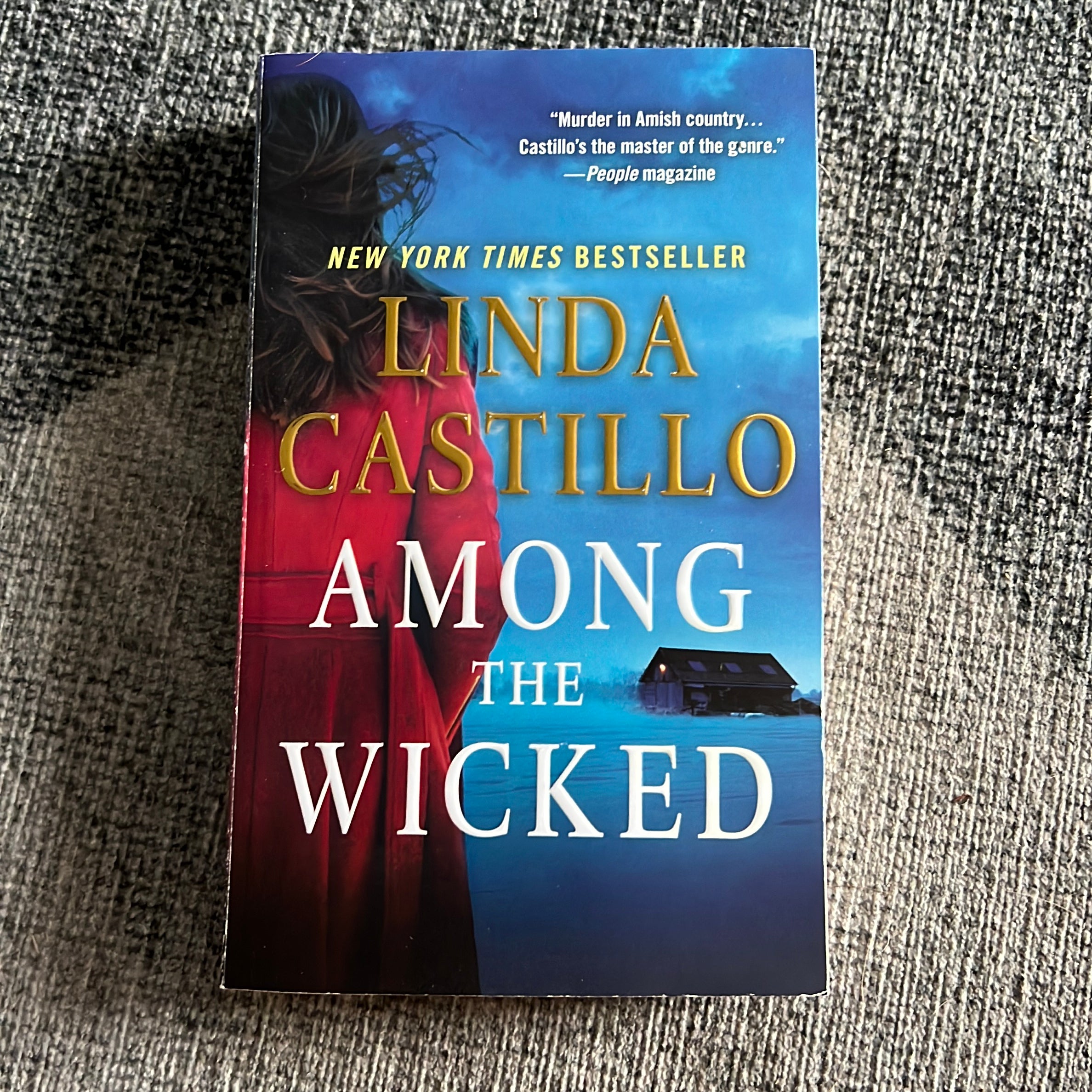 Among the Wicked