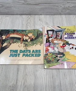 The Essentials Calvin and Hobbes The Days Are Just Packed