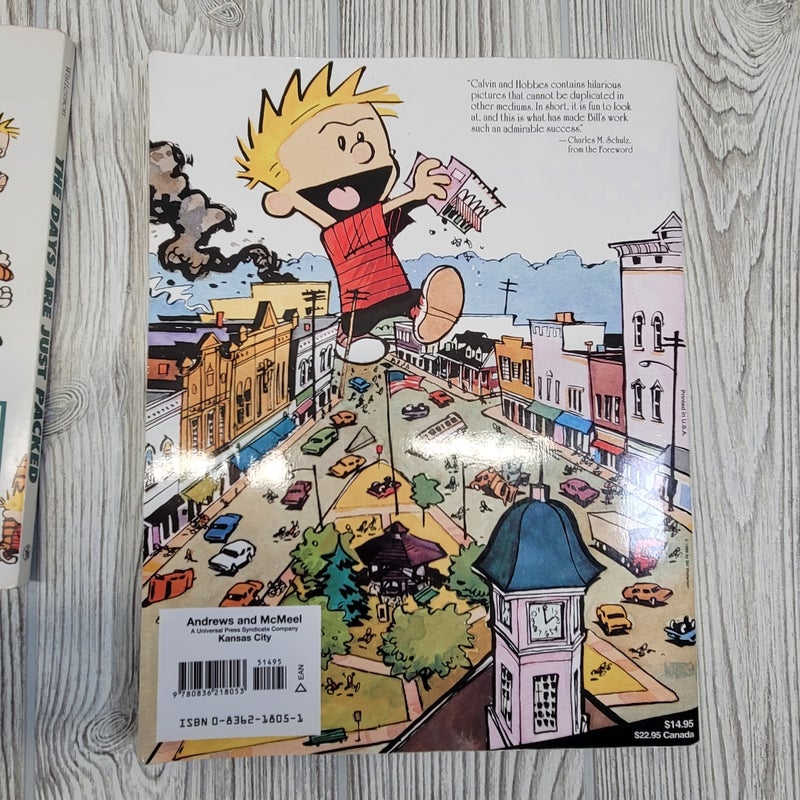 The Essentials Calvin and Hobbes The Days Are Just Packed