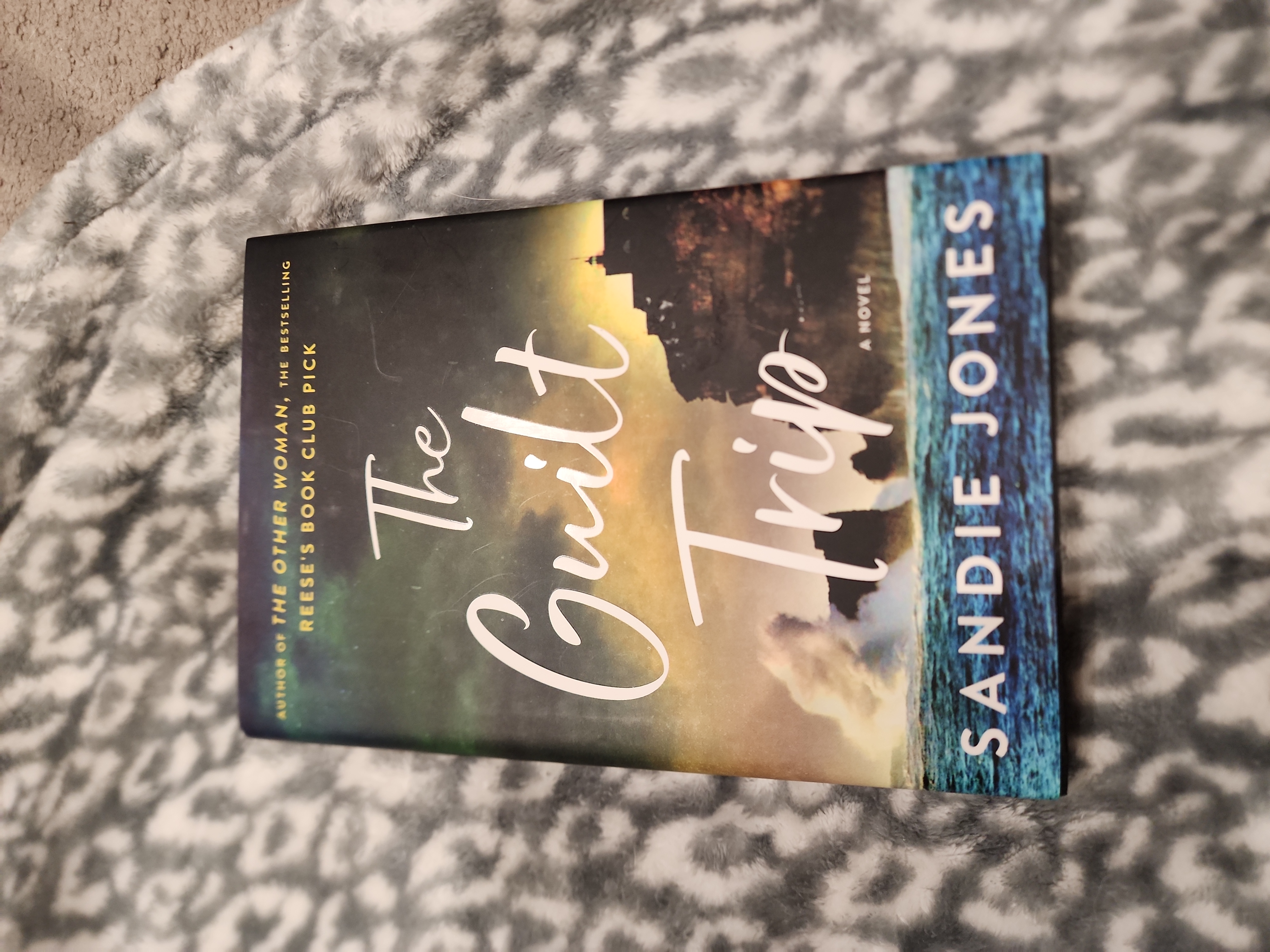 9781250265586 book cover