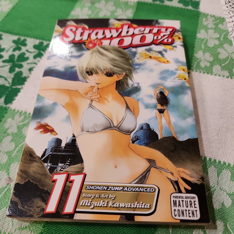 Strawberry 100%, Vol. 11