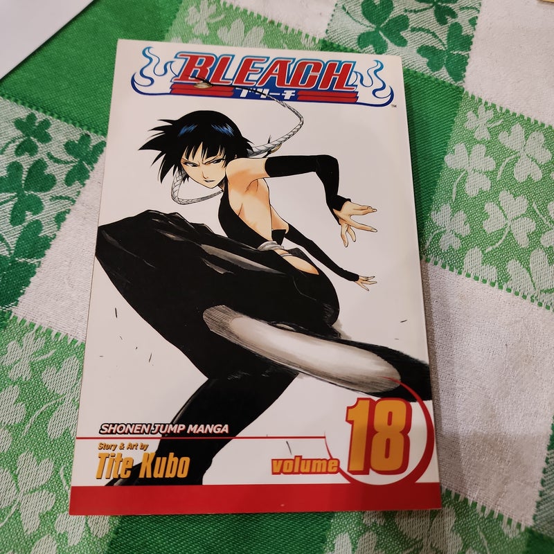 Bleach, Vol. 18