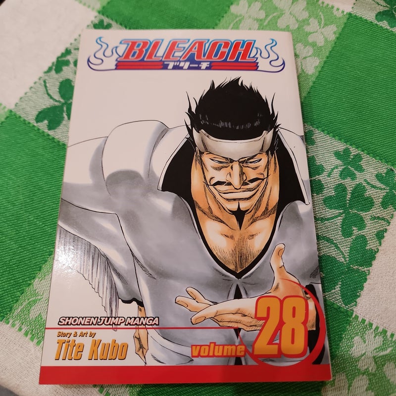 Bleach, Vol. 28