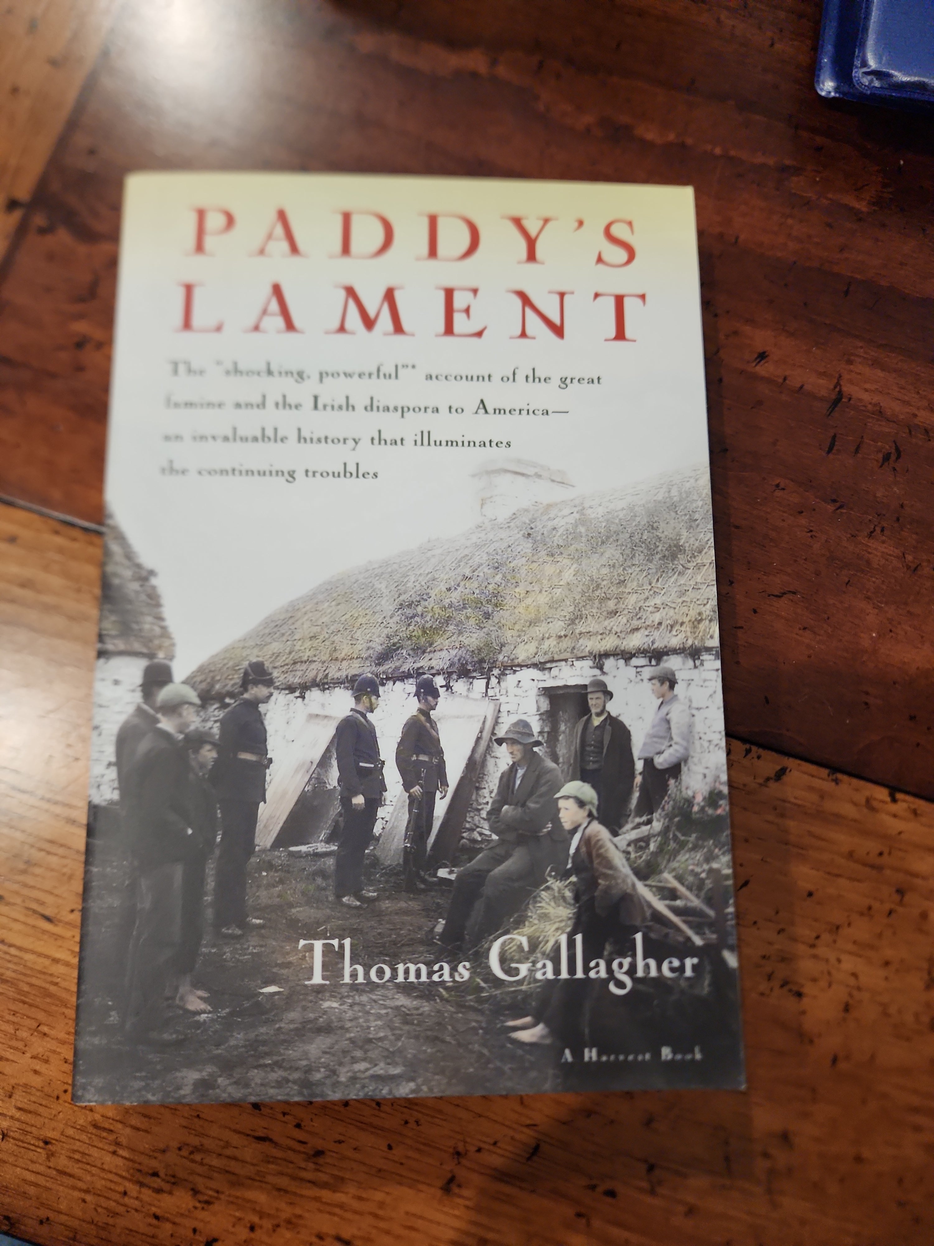 Paddy's Lament, Ireland 1846-1847