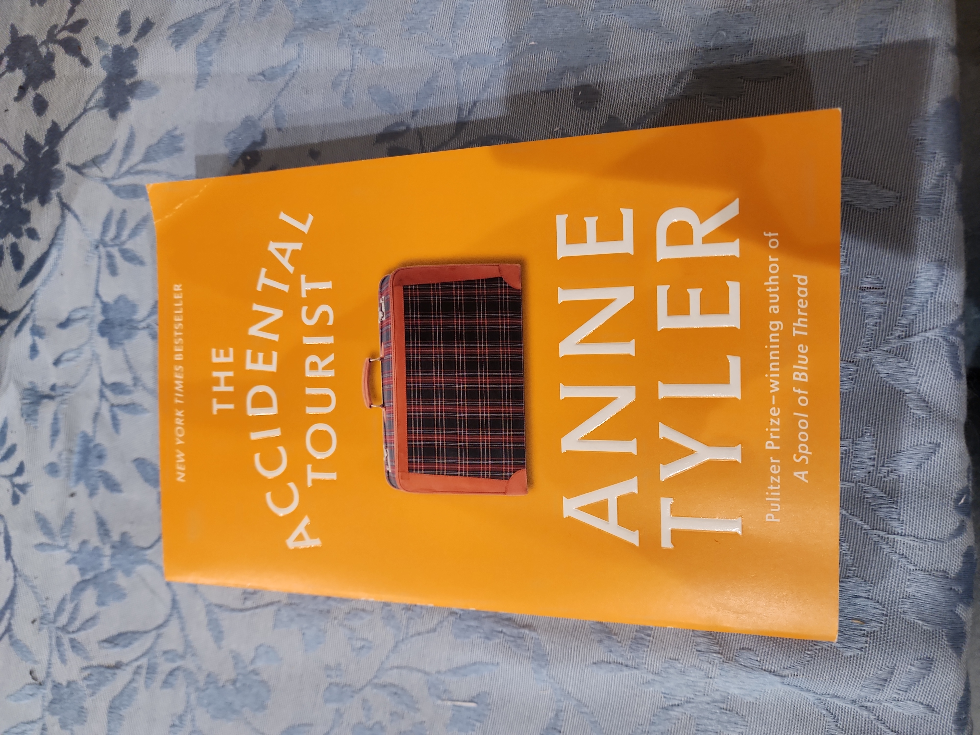 The Accidental Tourist