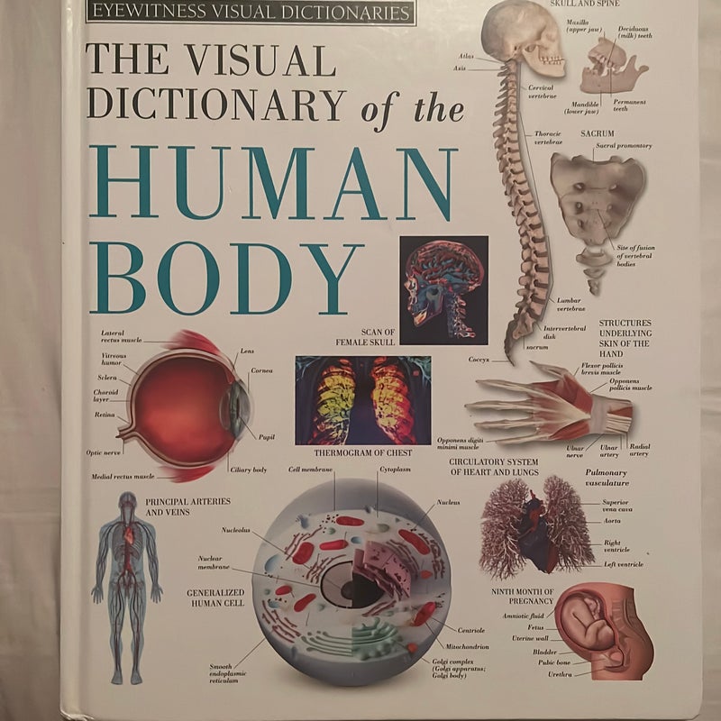 The visual dictionary of the human body 