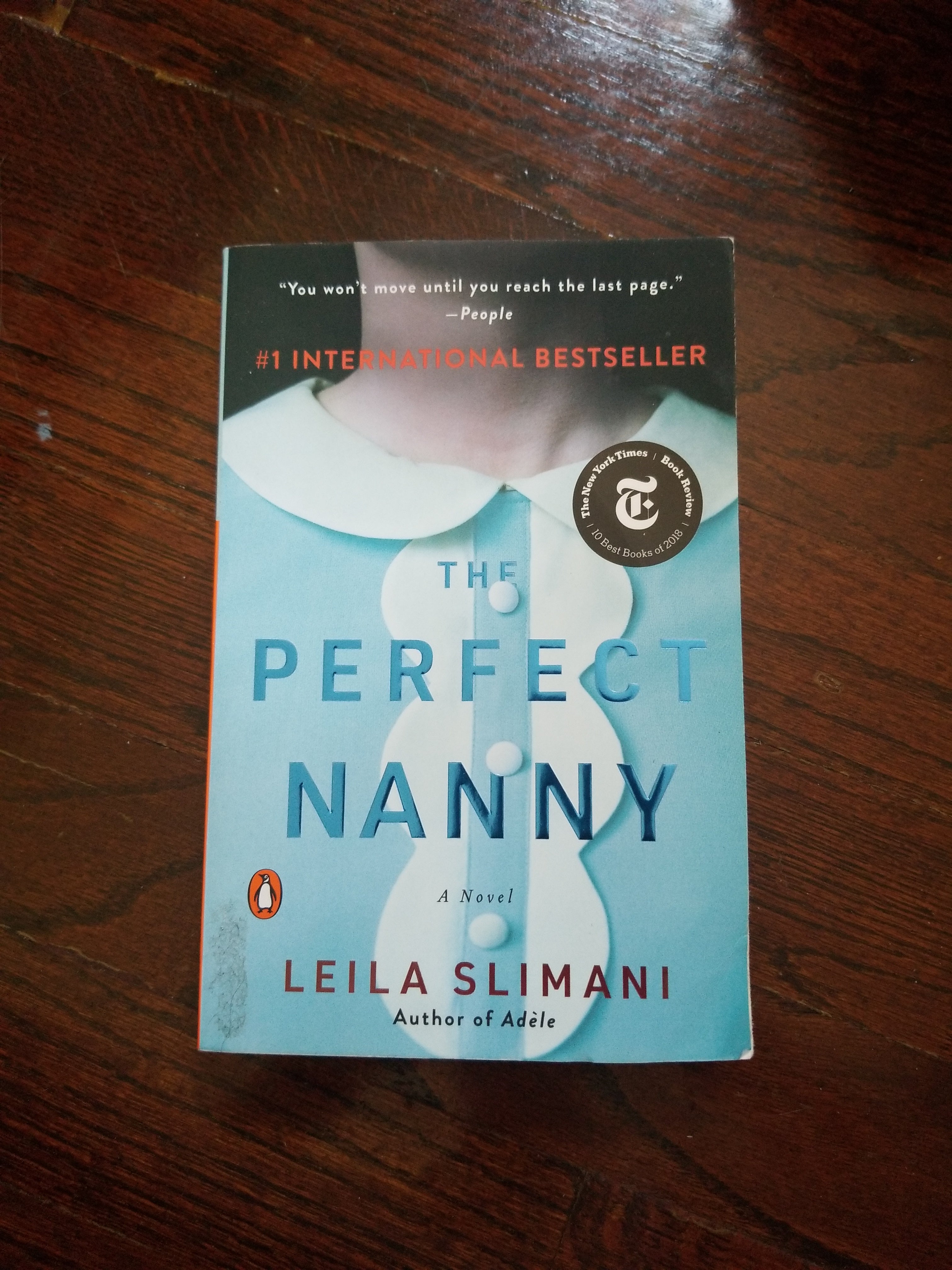 The Perfect Nanny