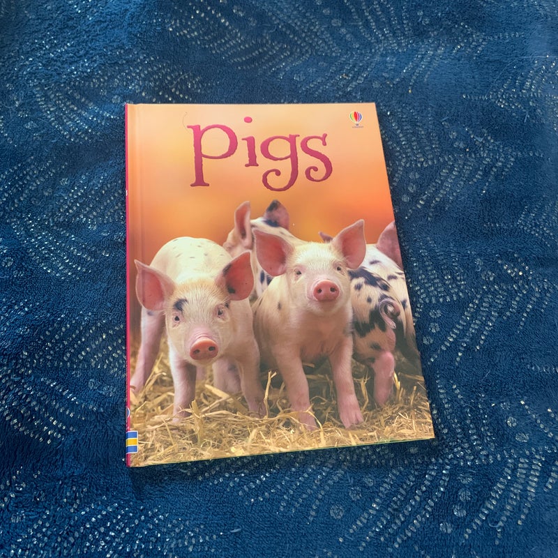 Pigs