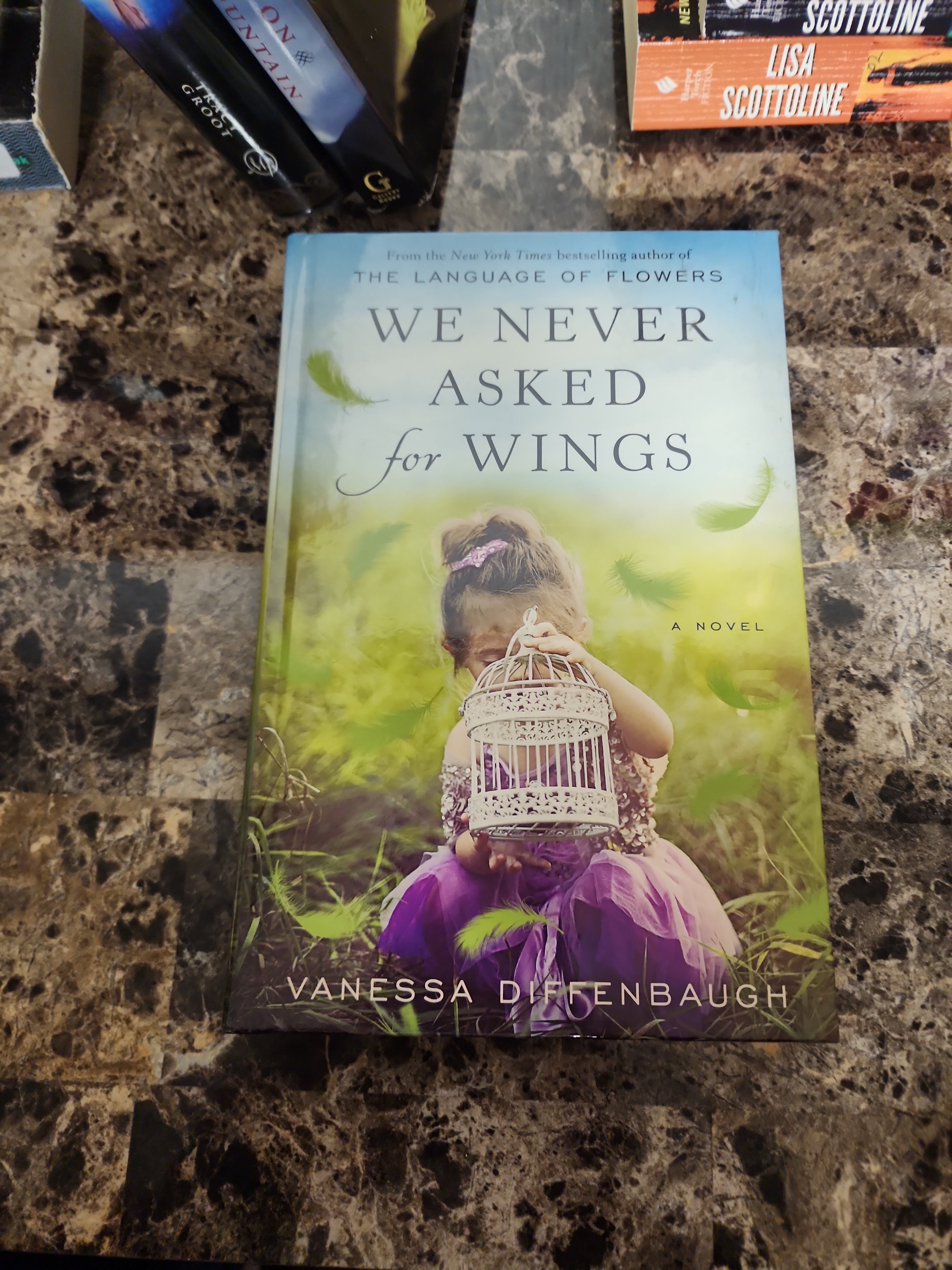 We Never Asked for Wings