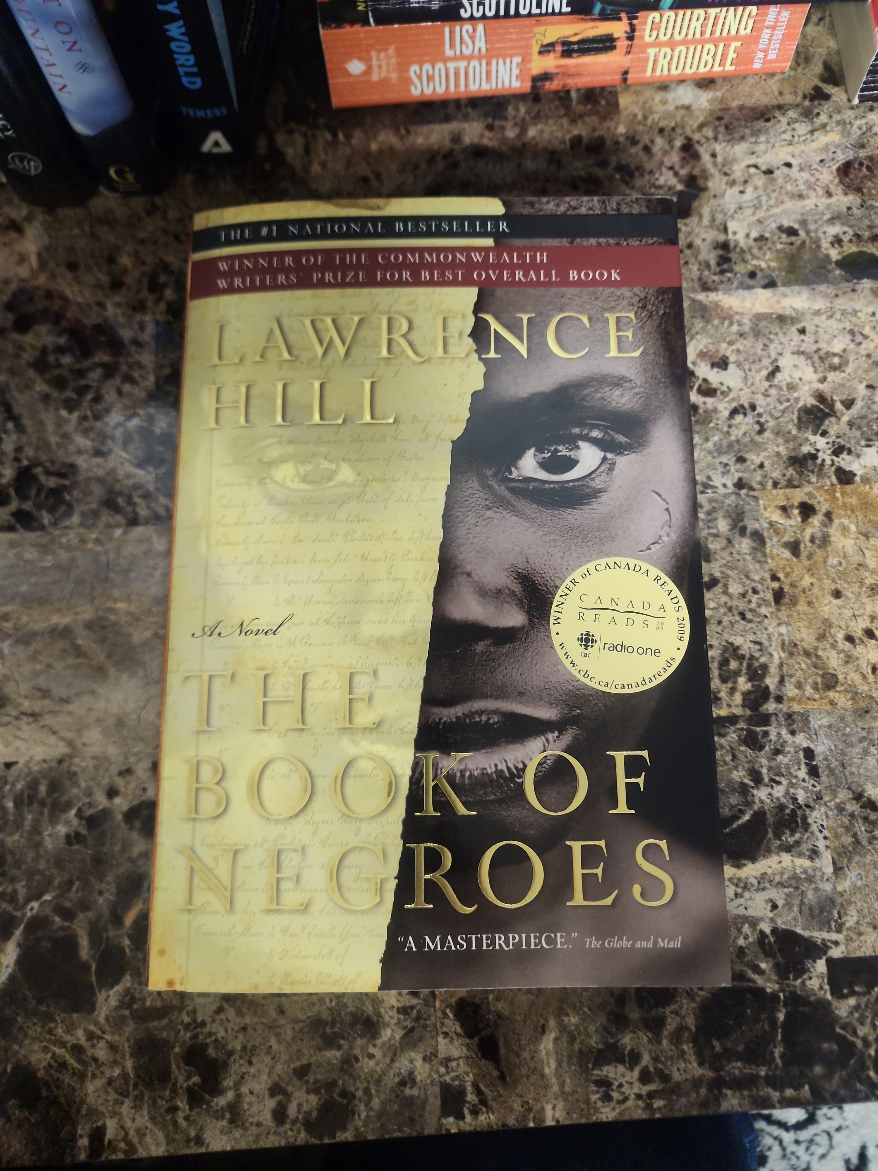 The Book of Negroes