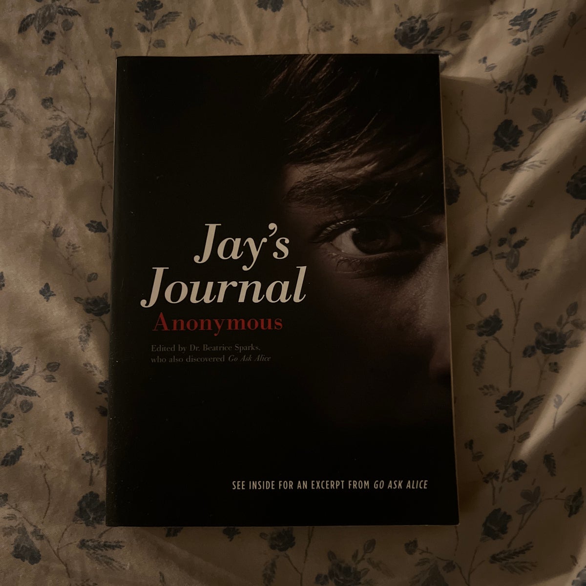 Jay s Journal by Anonymous Beatrice Sparks Editor Paperback Pangobooks