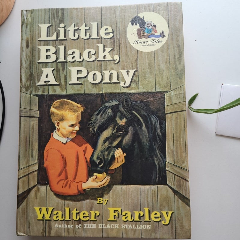 Little Black, a Pony