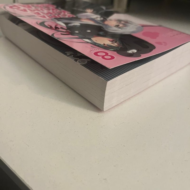 Kuma Kuma Kuma Bear (Light Novel) Vol. 8