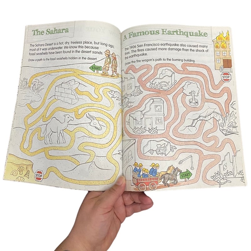 The Earth Lover's Big Activity Book- the Environment