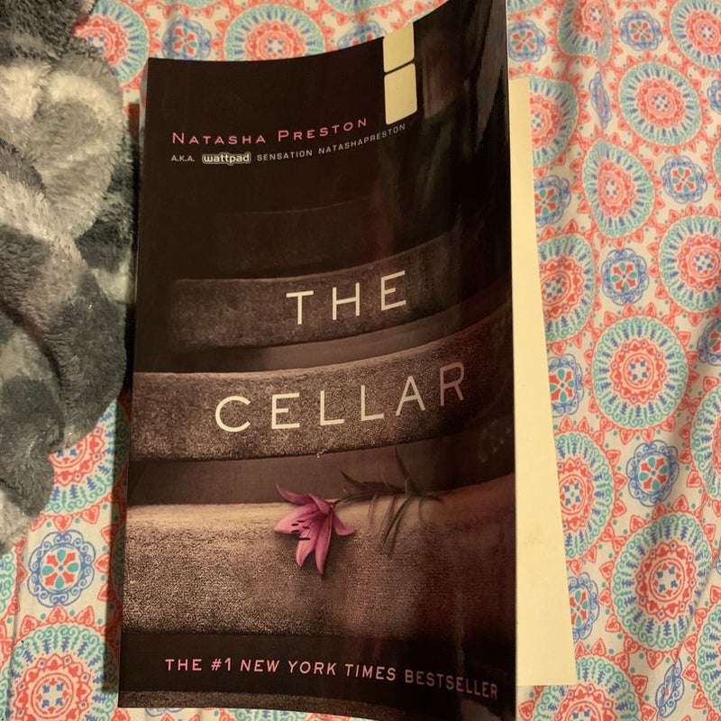 The Cellar 