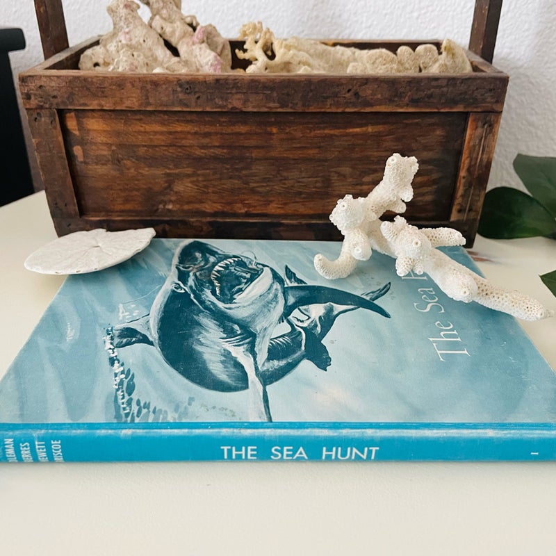 The Sea Hunt (1959 Vintage Children’s Book)