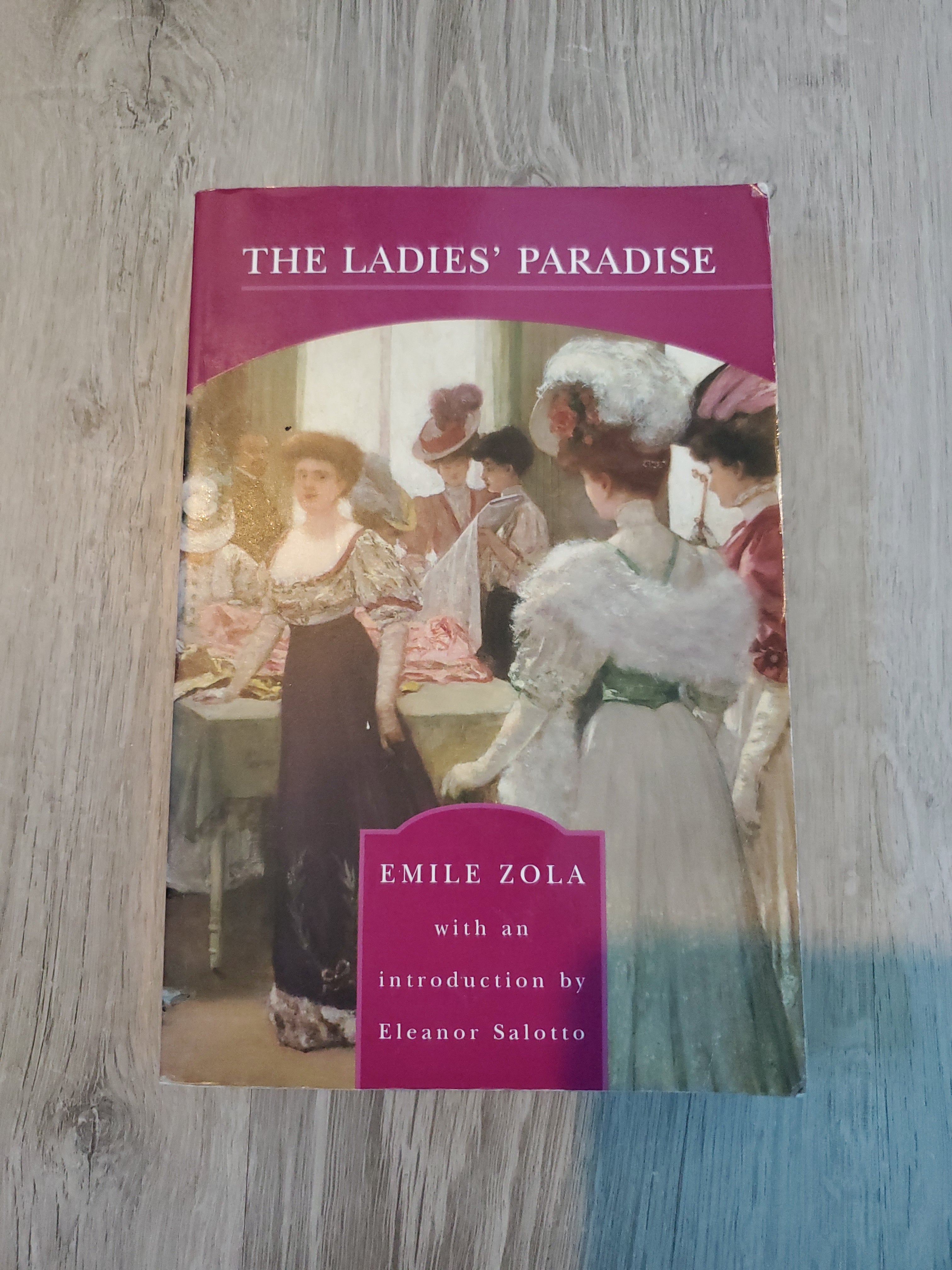 The Ladies' Paradise