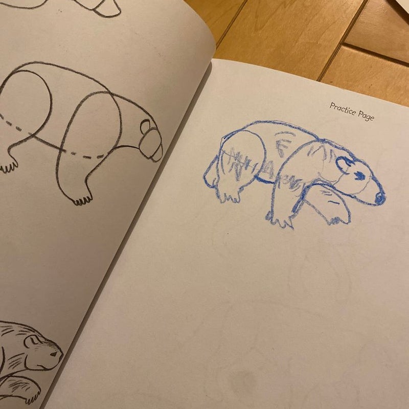 How to Draw Forest Animals *small drawing on 1st page, otherwise untouched