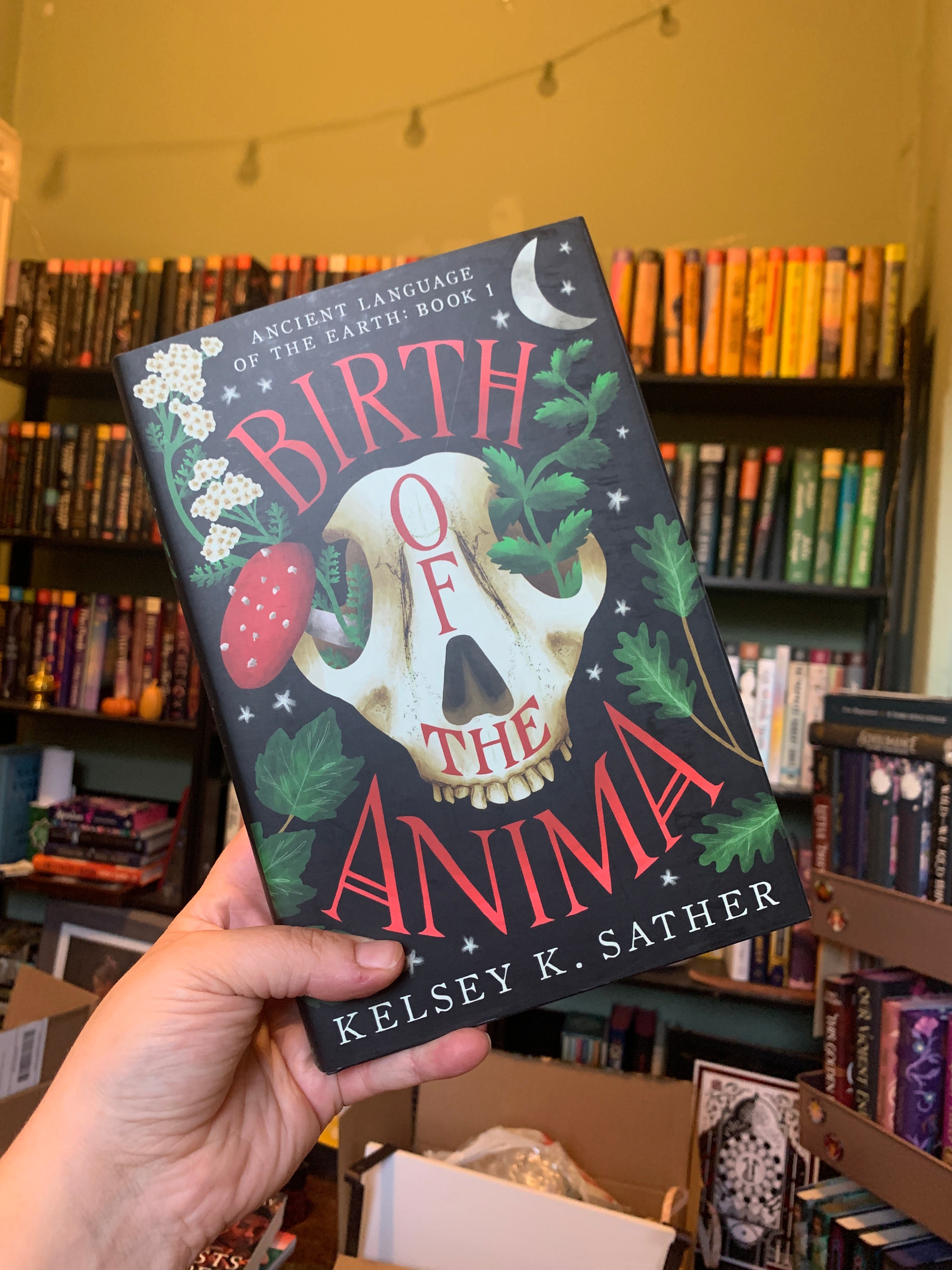 Birth of the Anima
