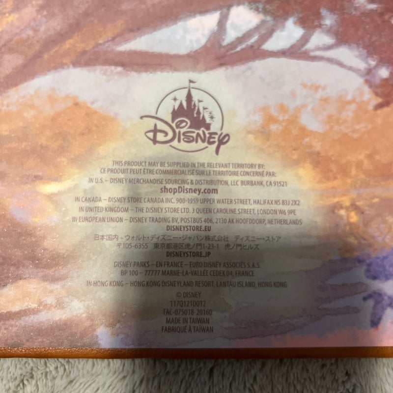 Soft bound enchanted journal