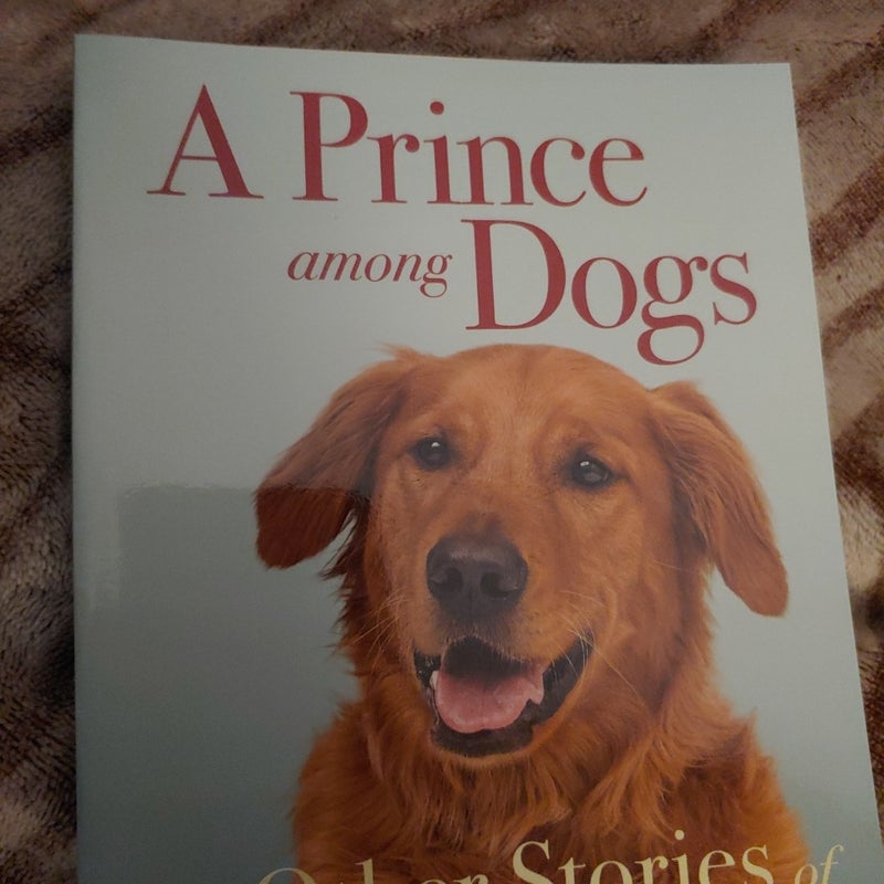 A Prince among Dogs