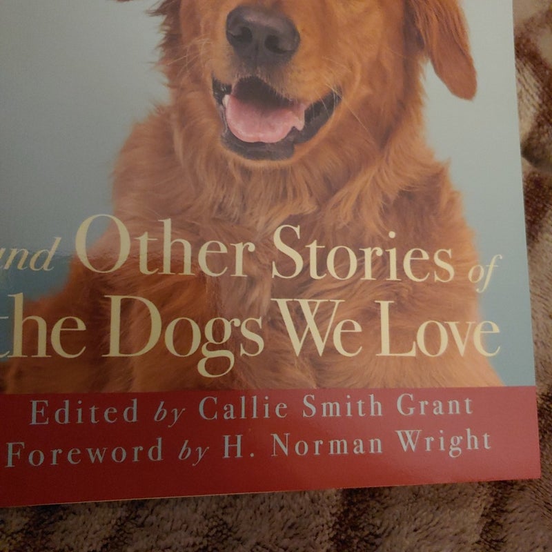 A Prince among Dogs