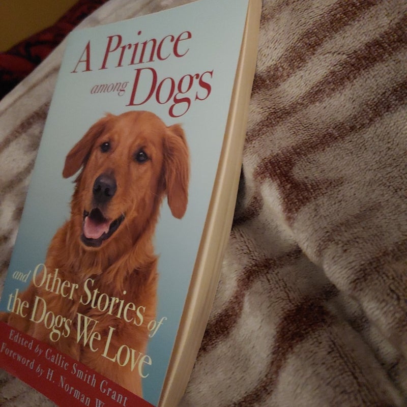 A Prince among Dogs