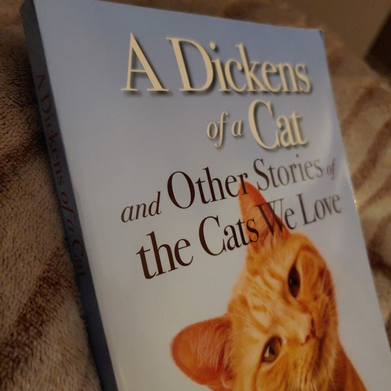 A Dickens of a Cat