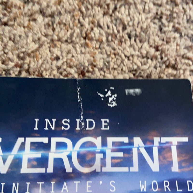 Inside Divergent: the Initiate's World