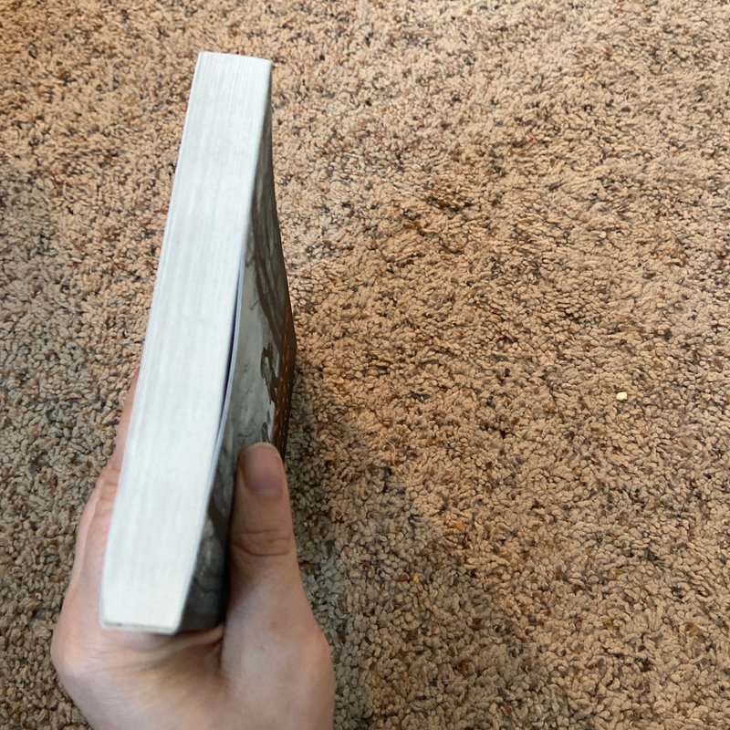 What Waits in the Woods