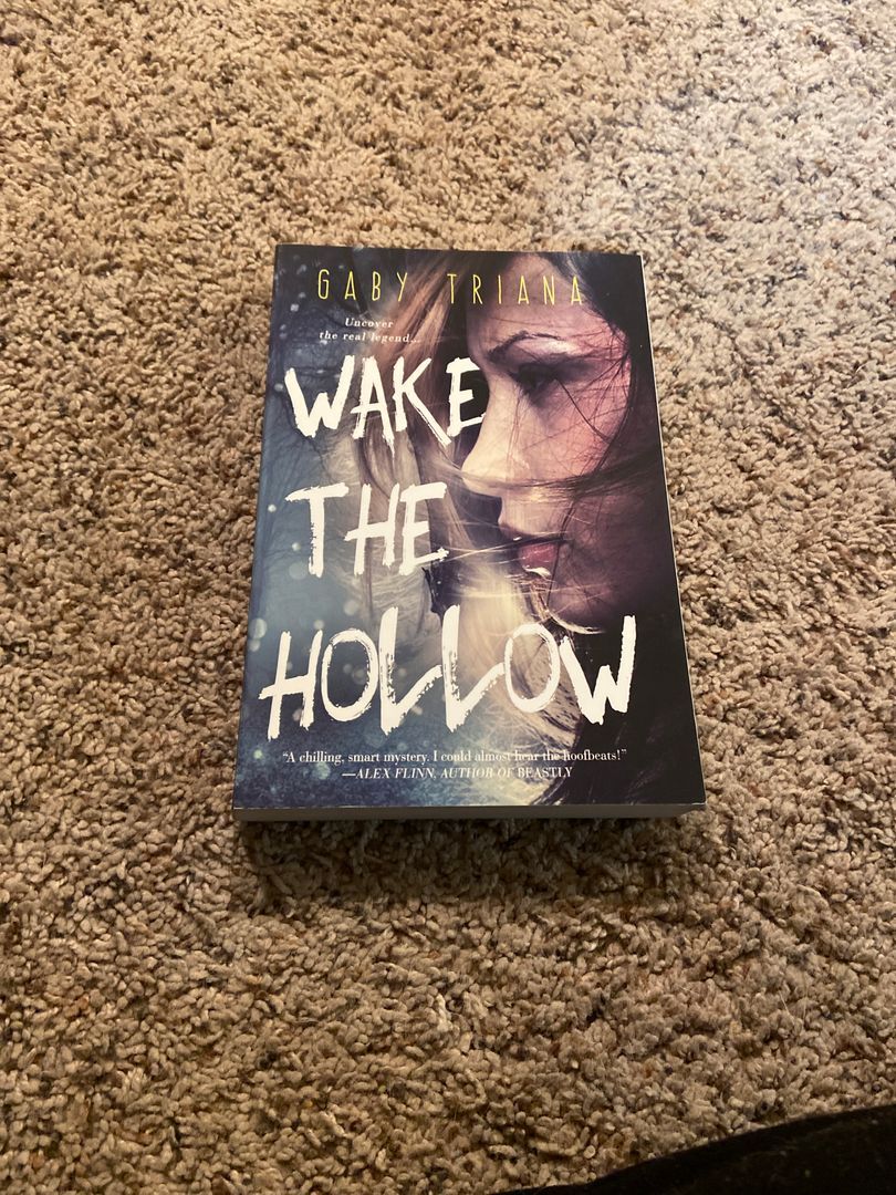 Wake the Hollow