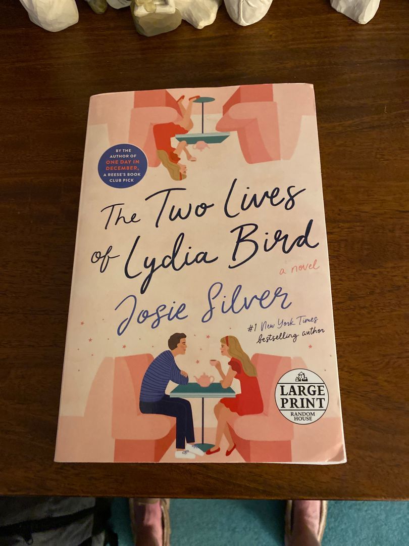 The Two Lives of Lydia Bird