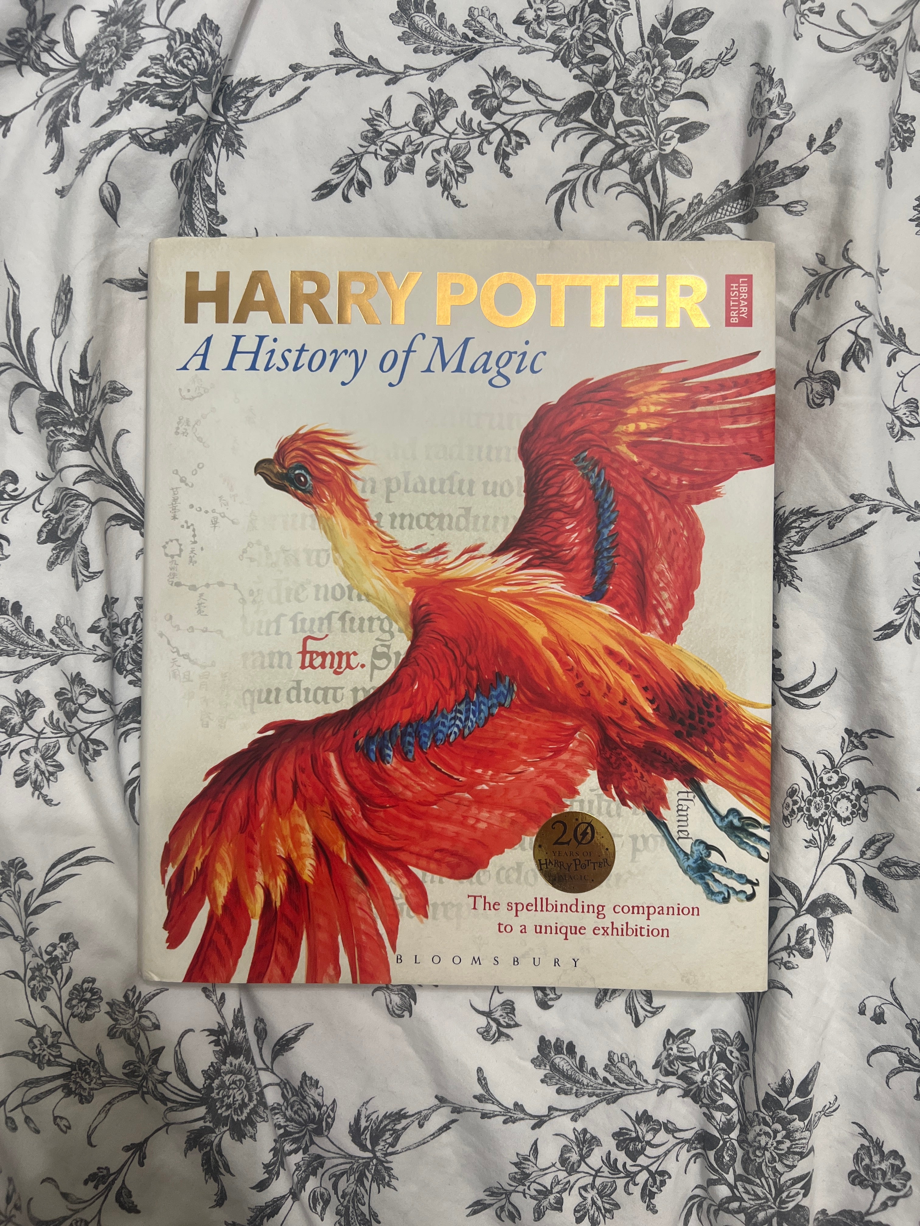 Harry Potter - a History of Magic