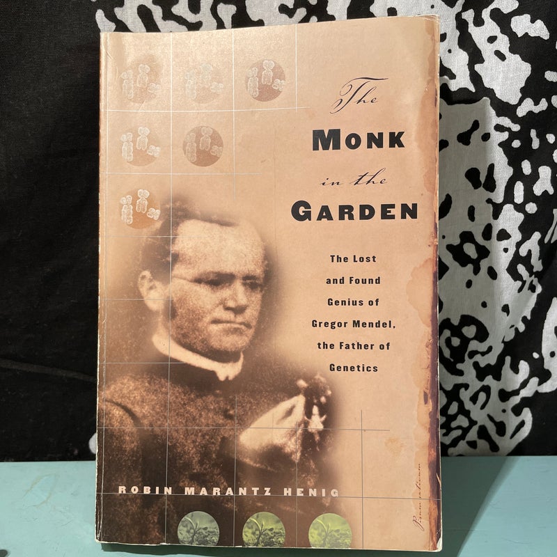 The Monk in the Garden 