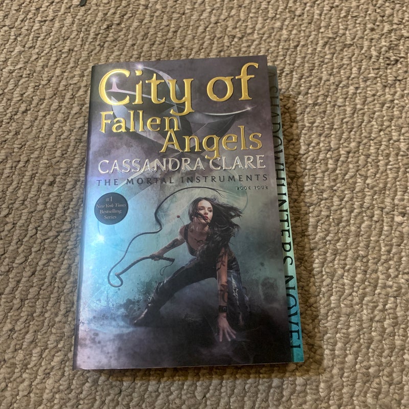 City of Fallen Angels