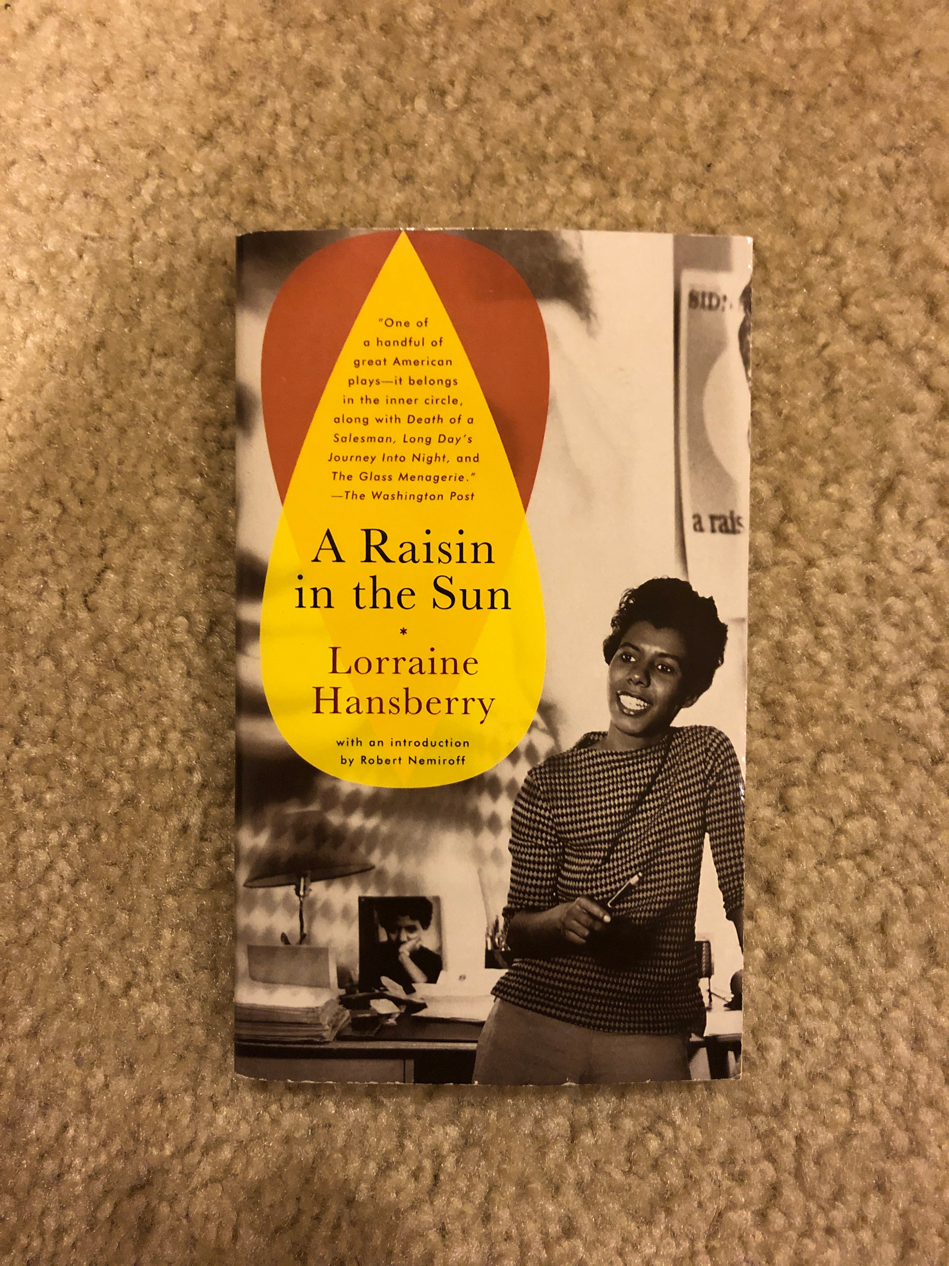 A Raisin in the Sun