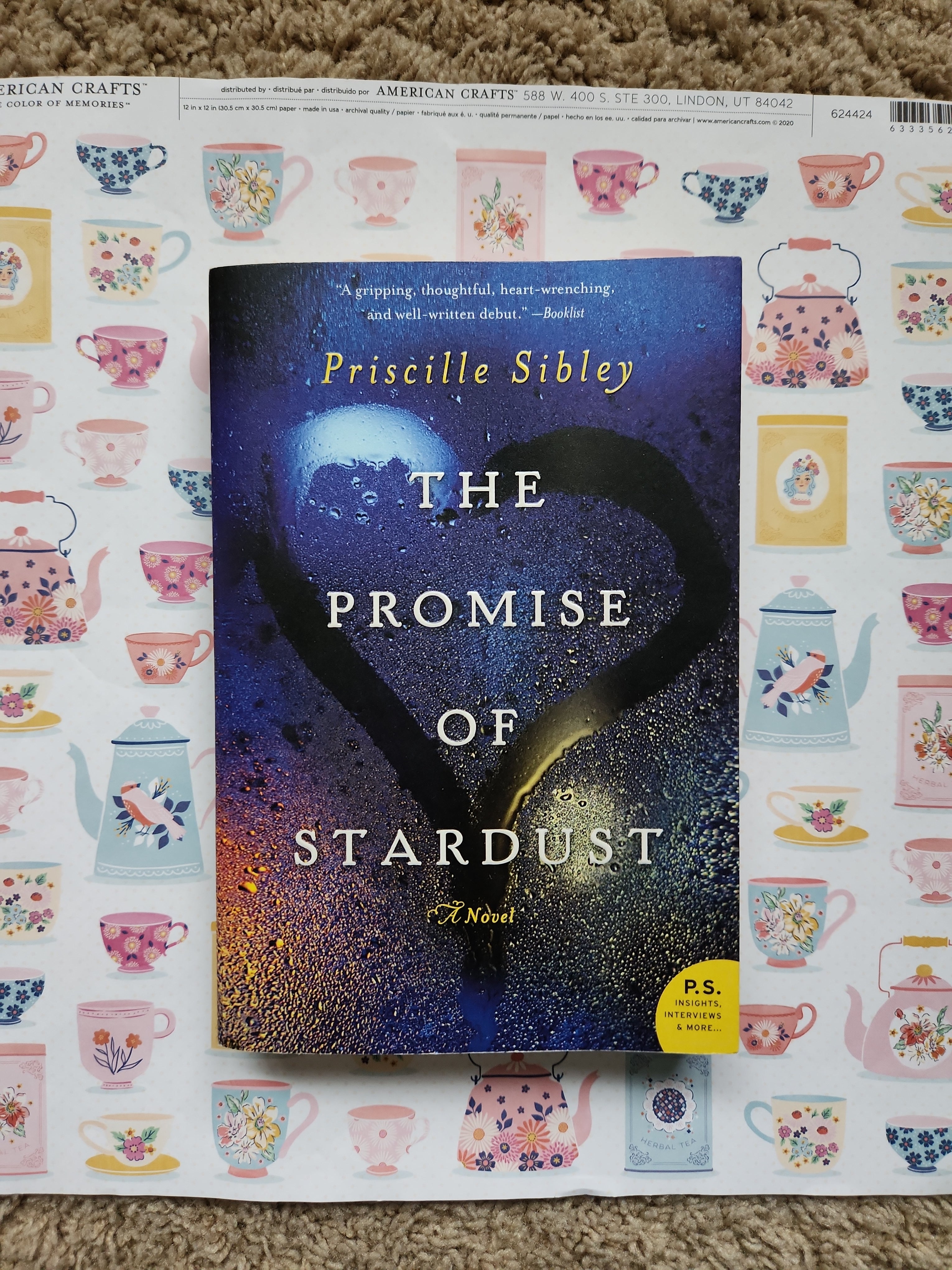 The Promise of Stardust