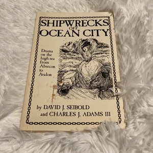 Shipwrecks off Ocean City (N. J.)