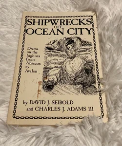 Shipwrecks off ocean city 