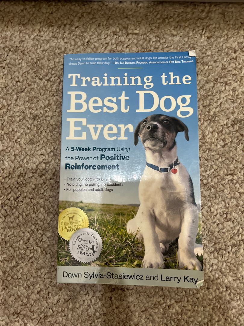 Training the Best Dog Ever