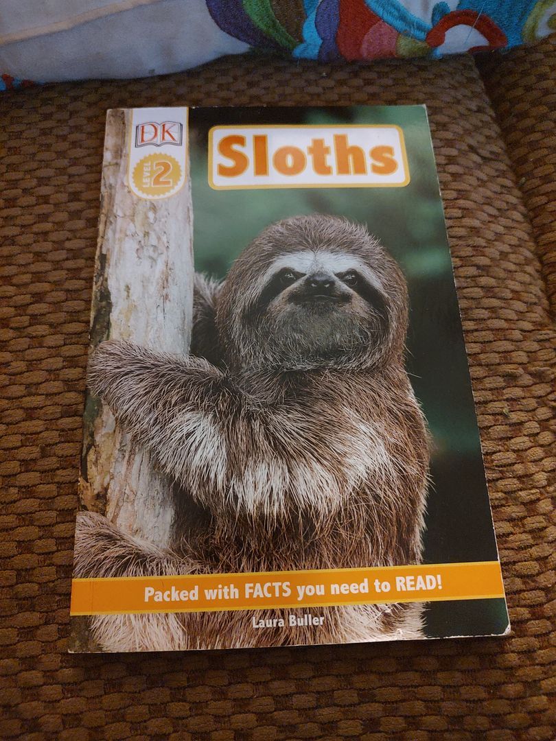 DK Readers Level 2: Sloths