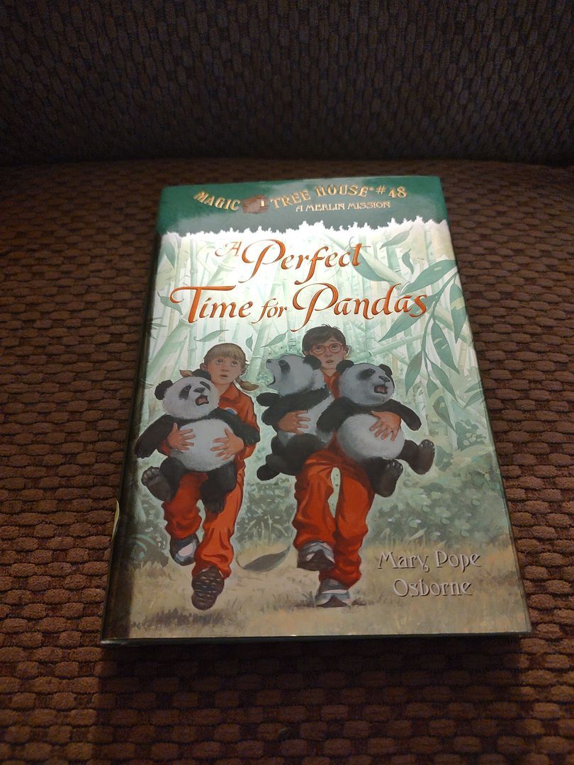 A Perfect Time for Pandas