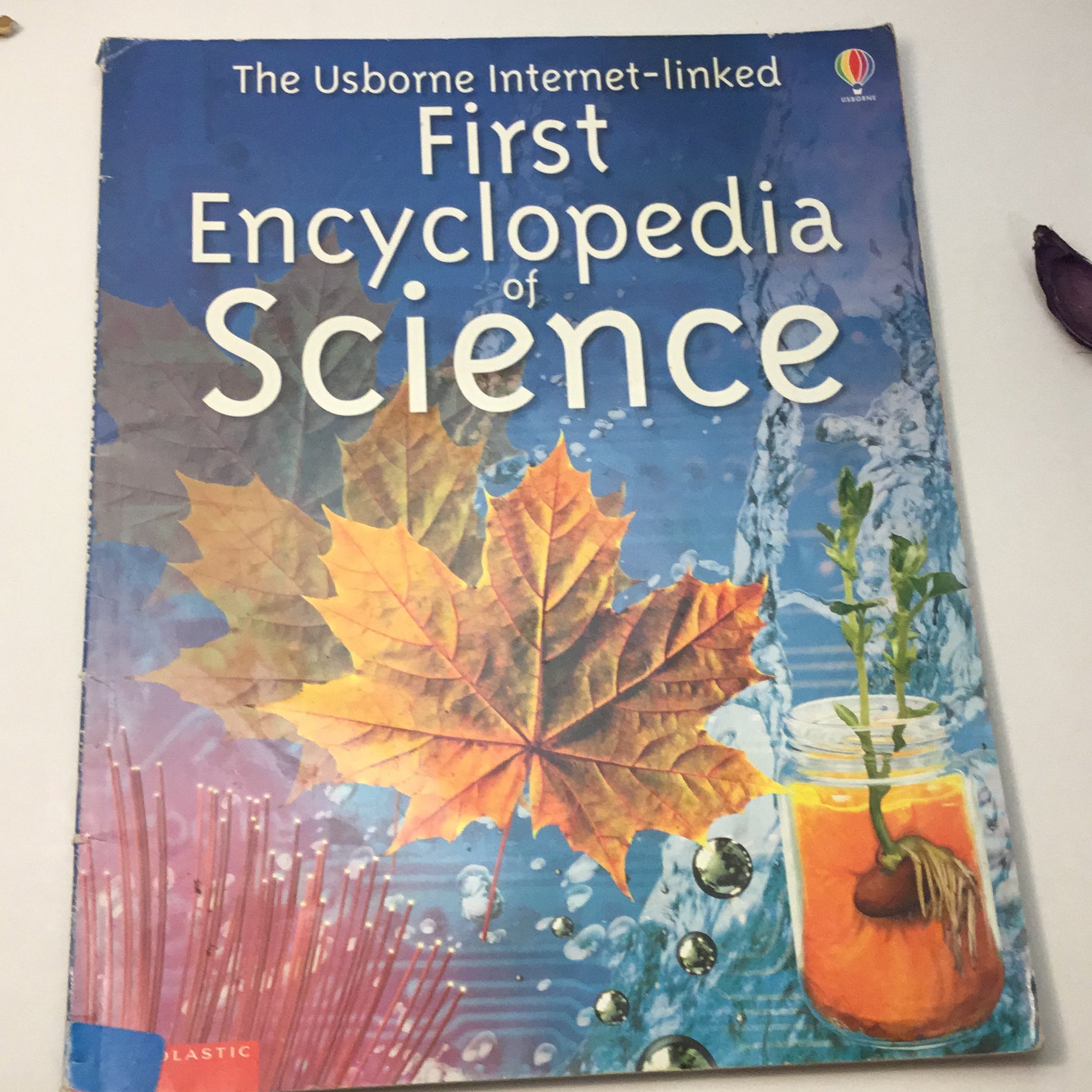 The Usborne First Encyclopedia of Science