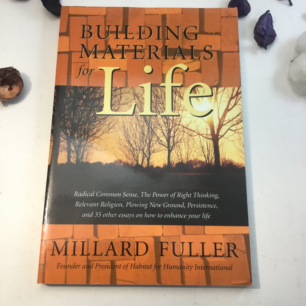 Building Materials for Life, Volume I by Millard Fuller