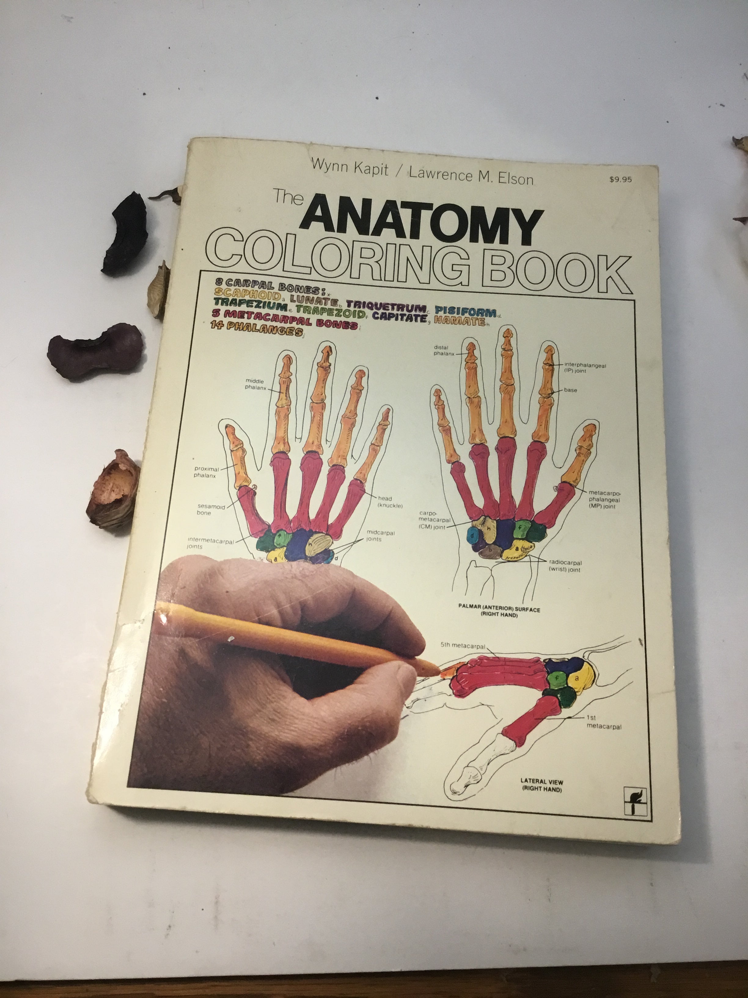 The Anatomy Coloring Book