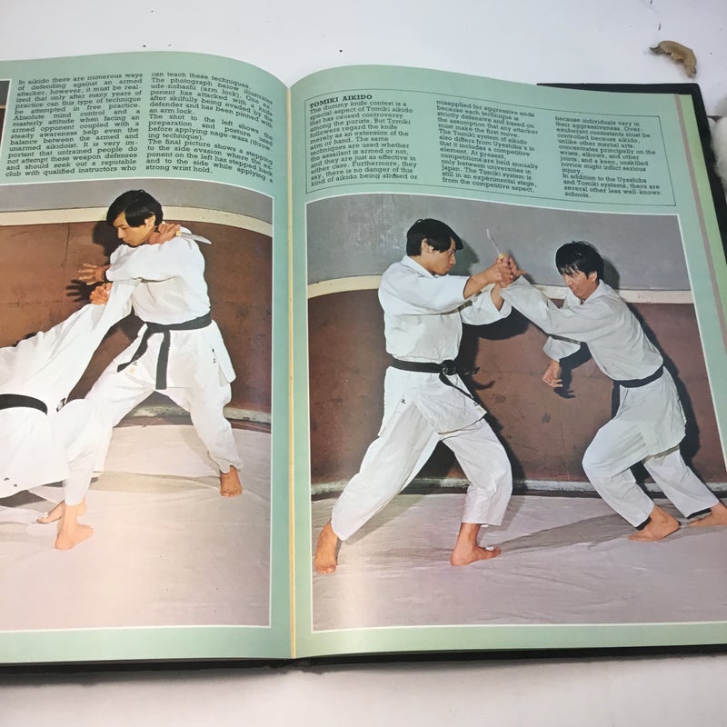 The pictorial guide to The Martial Arts